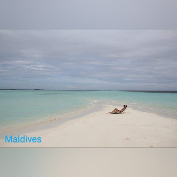 Meet your Posher, Carolina - Picture 4 of 5